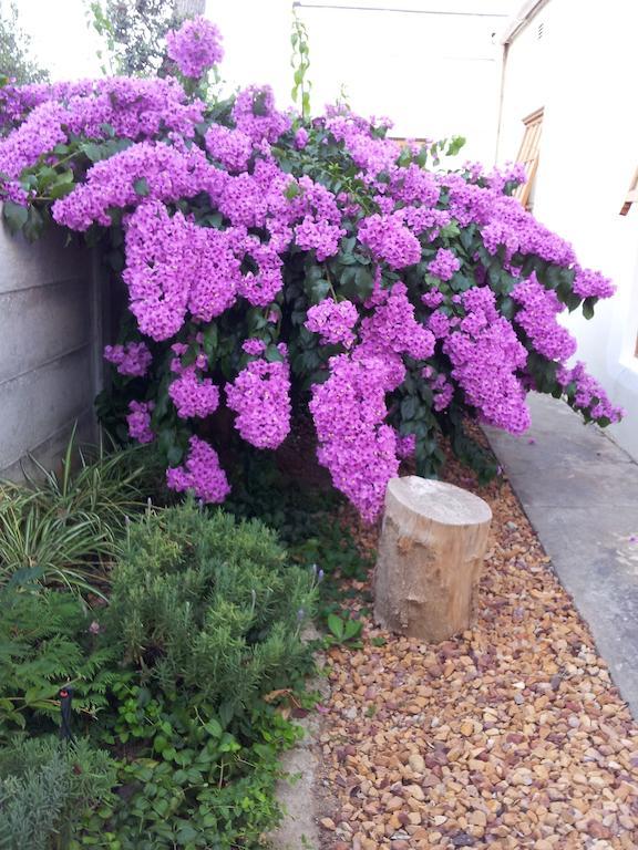 Wheatlands Lodge Bredasdorp Εξωτερικό φωτογραφία
